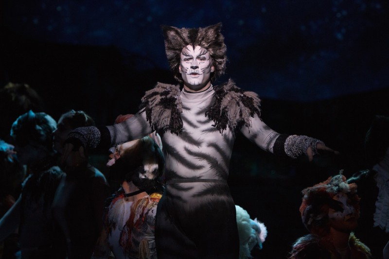 Benjamin Cox as Munkustrap in Cooca Village Playhouse production of "Cats" photo by Goforth Photography